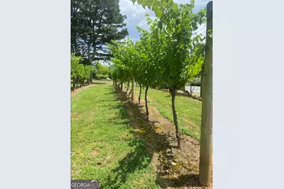 Lot 223 Oak Park Drive, Talking Rock, GA 30175 - Photo 5