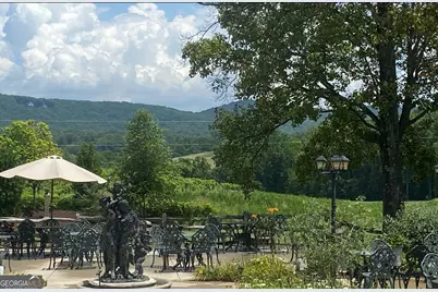 Lot 223 Oak Park Drive, Talking Rock, GA 30175 - Photo 7