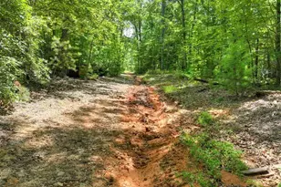 1170 Winchester Creek, Young Harris, GA 30582 - Photo 59