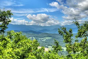 1170 Winchester Creek, Young Harris, GA 30582 - Photo 3