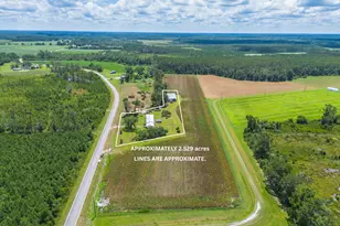 596 Teakwood Rd, Alma, GA 31510 - Photo 3