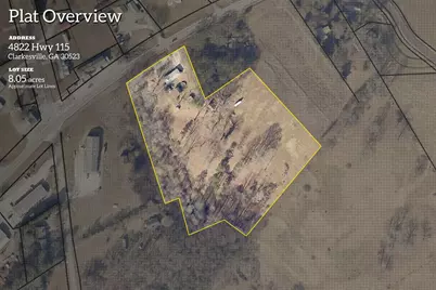 4822 Hwy 115, Clarkesville, GA 30523 - Photo 3