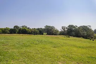 4822 Hwy 115, Clarkesville, GA 30523 - Photo 19