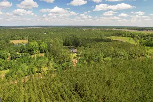 1653 Hawthorne Rd NE, Townsend, GA 31331 - Photo 73