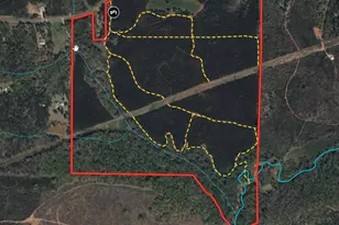 180 14 Ac Johnson Mill Rd, Hamilton, GA 31811 - Photo 1