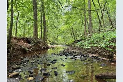 180.14 Ac Johnson Mill Road, Hamilton, GA 31811 - Photo 3