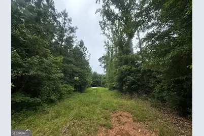 180.14 Ac Johnson Mill Road, Hamilton, GA 31811 - Photo 13