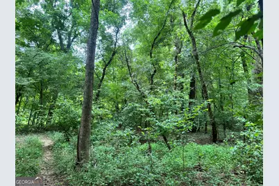 180.14 Ac Johnson Mill Road, Hamilton, GA 31811 - Photo 9