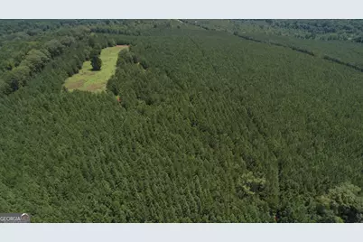 180.14 Ac Johnson Mill Road, Hamilton, GA 31811 - Photo 5