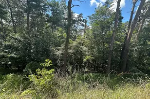 0 Oak Trce E, Jasper, GA 30143 - Photo 9