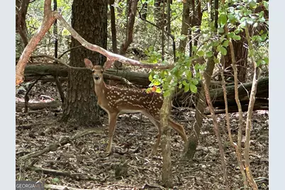 0 Oak Trace E, Jasper, GA 30143 - Photo 1