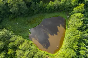 709 Melear Rd, Bowdon, GA 30108 - Photo 25