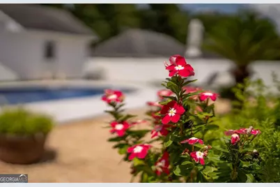 3930 Golfview Drive, Blackshear, GA 31516 - Photo 39