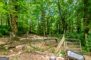 1459 Ray Mountain Rd, Ellijay, GA 30536 - Photo 43