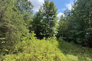 1324 Hwy 81 N Street N, Calhoun Falls, SC 29628 - Photo 25