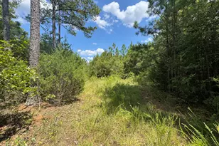 1324 Hwy 81 N Street N, Calhoun Falls, SC 29628 - Photo 21