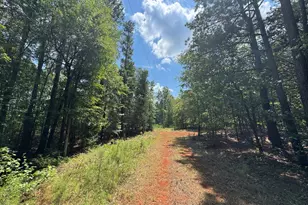 1324 Hwy 81 N Street N, Calhoun Falls, SC 29628 - Photo 15