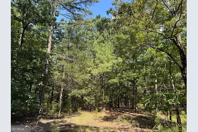 1324 Highway 81 No Street N, Calhoun Falls, SC 29628 - Photo 9