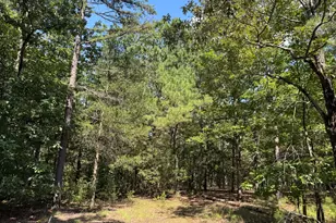 1324 Hwy 81 N Street N, Calhoun Falls, SC 29628 - Photo 9