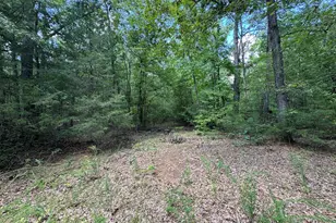 1324 Hwy 81 N Street N, Calhoun Falls, SC 29628 - Photo 29