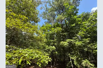 1324 Highway 81 No Street N, Calhoun Falls, SC 29628 - Photo 7