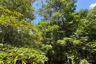 1324 Hwy 81 N Street N, Calhoun Falls, SC 29628 - Photo 7