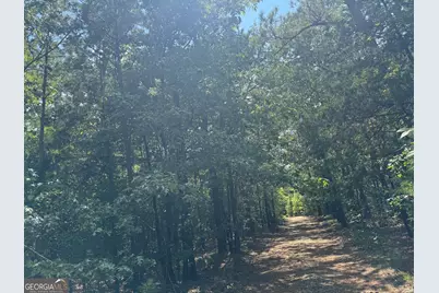 1324 Highway 81 No Street N, Calhoun Falls, SC 29628 - Photo 39