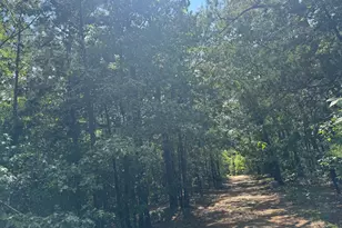 1324 Hwy 81 N Street N, Calhoun Falls, SC 29628 - Photo 39