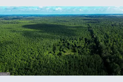 0 Newman Smith Road, Bartow, GA 30413 - Photo 3