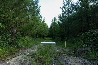 0 Newman Smith Road, Bartow, GA 30413 - Photo 19