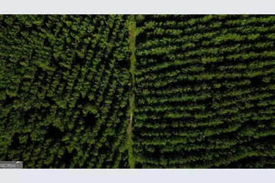 0 Newman Smith Road, Bartow, GA 30413 - Photo 11