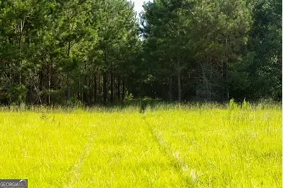 0 Newman Smith Road, Bartow, GA 30413 - Photo 13