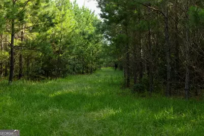 0 Newman Smith Road, Bartow, GA 30413 - Photo 15