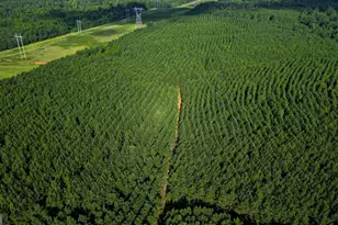 0 Newman Smith Rd, Bartow, GA 30413 - Photo 1