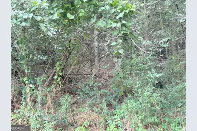 0 Lewis Road, Cartersville, GA 30121 - Photo 5