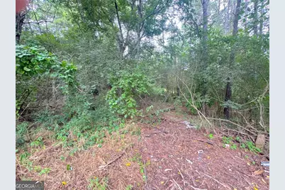 0 Lewis Road, Cartersville, GA 30121 - Photo 3