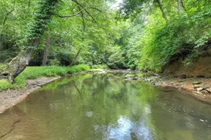 2931 Hwy 2, Blue Ridge, GA 30513 - Photo 61