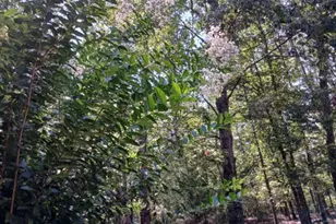 7790 Jefferson Rd, Athens, GA 30607 - Photo 35