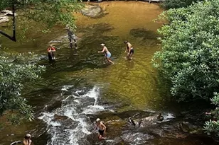 100 Reddick Drive, Blairsville, GA 30512 - Photo 15