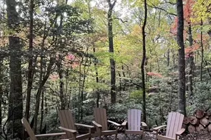 100 Reddick Drive, Blairsville, GA 30512 - Photo 11