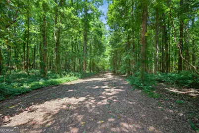 1050 Cedar Grove Drive, Buckhead, GA 30625 - Photo 115