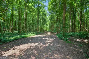 1050 Cedar Grove Dr, Buckhead, GA 30625 - Photo 115