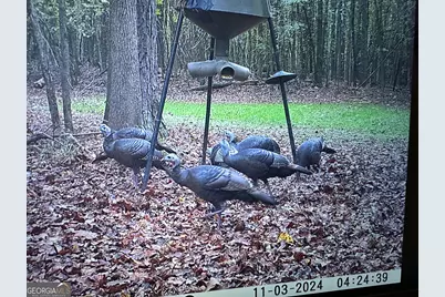 1050 Cedar Grove Drive, Buckhead, GA 30625 - Photo 113