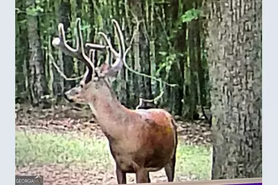 1070 Cedar Grove Drive, Buckhead, GA 30625 - Photo 3