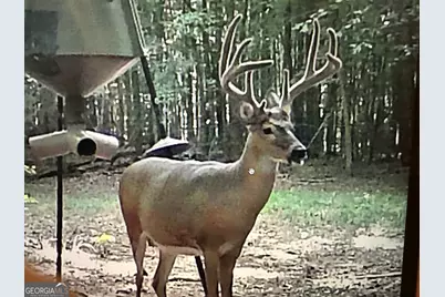 1070 Cedar Grove Drive, Buckhead, GA 30625 - Photo 7