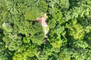 100 Stanley Creek Crossing, Blue Ridge, GA 30513 - Photo 81