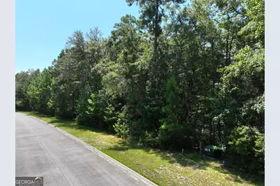 Lot 50 Tar Flower Trail, Waverly, GA 31565 - Photo 33