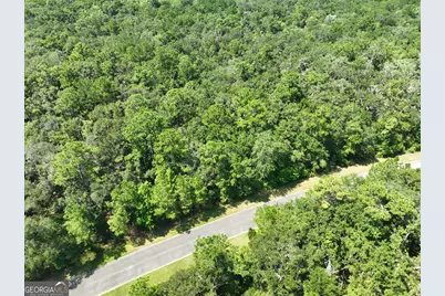Lot 50 Tar Flower Trail, Waverly, GA 31565 - Photo 11