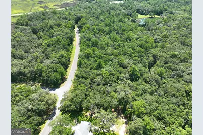 Lot 50 Tar Flower Trail, Waverly, GA 31565 - Photo 23