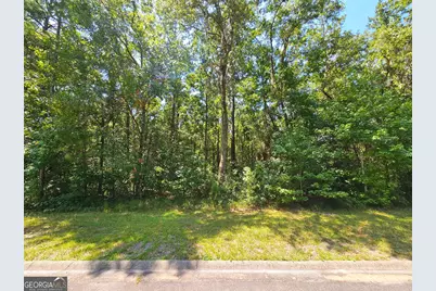 Lot 50 Tar Flower Trail, Waverly, GA 31565 - Photo 49